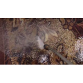 清洁地毯237