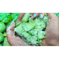 刮香皂捏花318