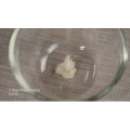 烘焙糕点40