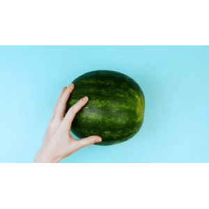美食小妙招19