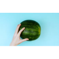 美食小妙招19