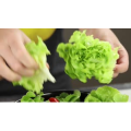 美食小妙招73