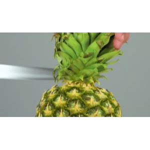 美食小妙招118