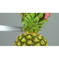美食小妙招118