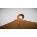 极限国度273
