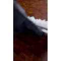 西餐61