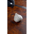 西餐231