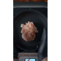 西餐232