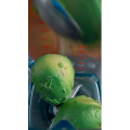 西餐67