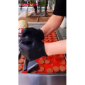 炒冰146