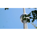真人跑酷10