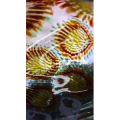玻璃制作52