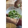 章丘铁锅136