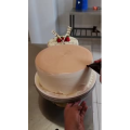 蛋糕裱花246