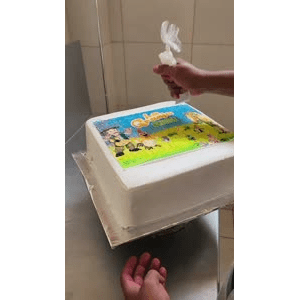蛋糕裱花282