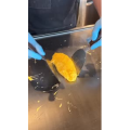 正餐51