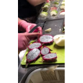 切水果86
