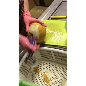 切水果178