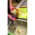 切水果178