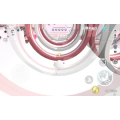 蛋仔派对955