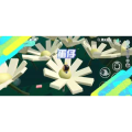 蛋仔派对1184
