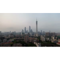 广州6