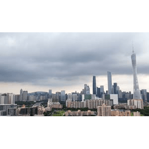 广州11