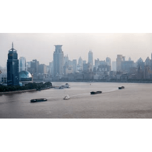 上海7