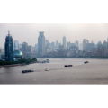 上海7