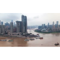 重庆6