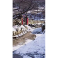 怀旧农村1