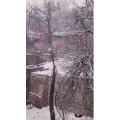 怀旧农村7