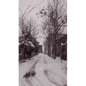 怀旧农村8