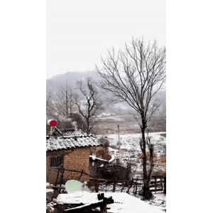 怀旧农村16