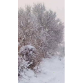 怀旧农村20