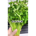 宝宝辅食18