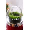 宝宝辅食289
