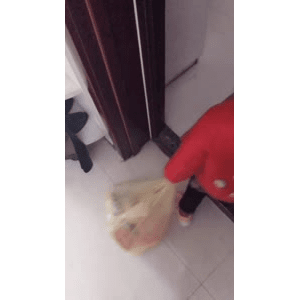 宝宝辅食344