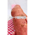 宝宝辅食439