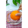 宝宝辅食699