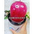 宝宝辅食756