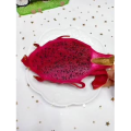 宝宝辅食766
