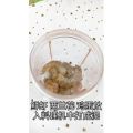 宝宝辅食827