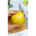 宝宝辅食1038