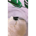 宝宝辅食1338