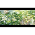 牛肉汤6