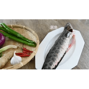 美食菜系做法98