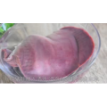美食菜系做法181