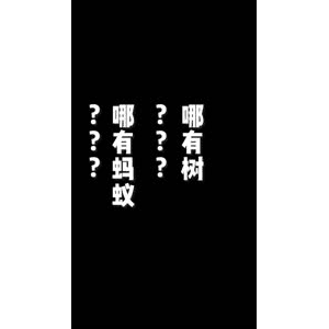 美食菜系做法635