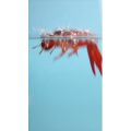 美食菜系做法796
